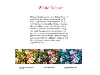 White Balance
• Different digital cameras have different ways of
adjusting white balance so ultimately you’ll
need to get out your camera’s manual out to
work out the specifics of how to make changes.
Having said this – many digital cameras have
automatic and semi-automatic modes to help
you make the adjustments. In most cases you
can get a pretty accurate result using the above
present white balance modes – but some digital
cameras (most DSLRs and higher end point and
shoots) allow for manual white balance
adjustments also.
 