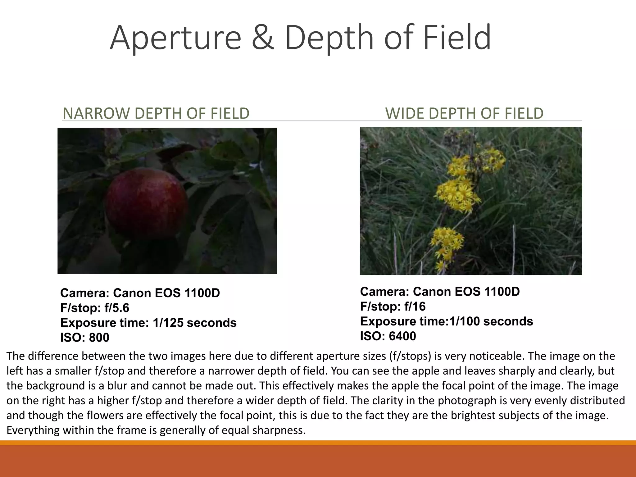 Aperture & Depth of Field 
NARROW DEPTH OF FIELD WIDE DEPTH OF FIELD 
Camera: Canon EOS 1100D 
F/stop: f/16 
Exposure time:1/100 seconds 
ISO: 6400 
Camera: Canon EOS 1100D 
F/stop: f/5.6 
Exposure time: 1/125 seconds 
ISO: 800 
The difference between the two images here due to different aperture sizes (f/stops) is very noticeable. The image on the 
left has a smaller f/stop and therefore a narrower depth of field. You can see the apple and leaves sharply and clearly, but 
the background is a blur and cannot be made out. This effectively makes the apple the focal point of the image. The image 
on the right has a higher f/stop and therefore a wider depth of field. The clarity in the photograph is very evenly distributed 
and though the flowers are effectively the focal point, this is due to the fact they are the brightest subjects of the image. 
Everything within the frame is generally of equal sharpness. 
 