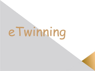 eTwinning
 