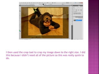 I then used the crop tool to crop my image down to the right size. I did
this because I didn’t need all of the picture so this was really quick to
do.
 