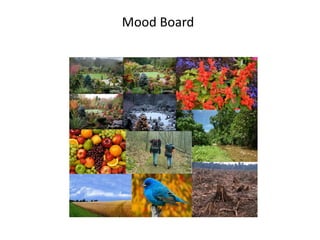 Mood Board
 