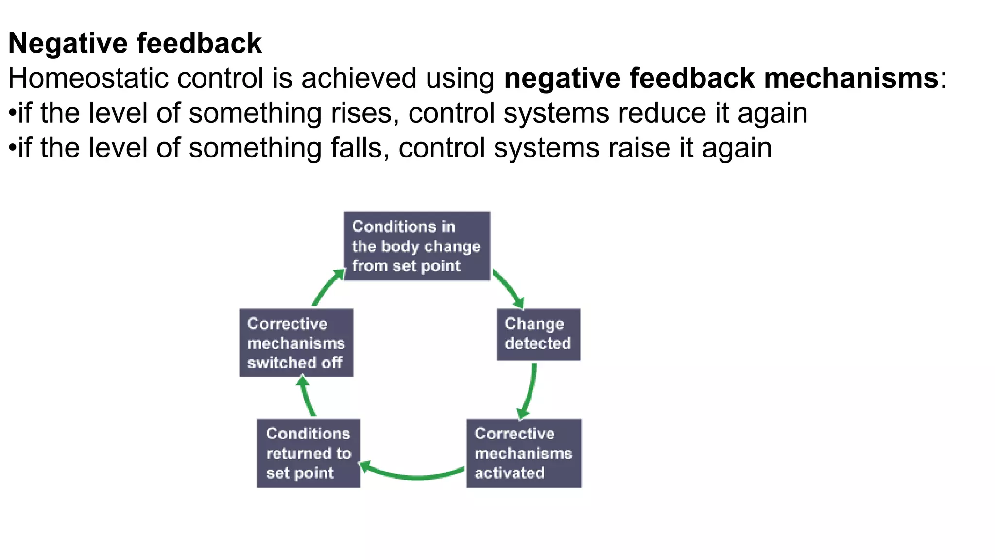 Negative feedback
Homeostatic control is achieved using negative feedback mechanisms:
•if the level of something rises, control systems reduce it again
•if the level of something falls, control systems raise it again
 