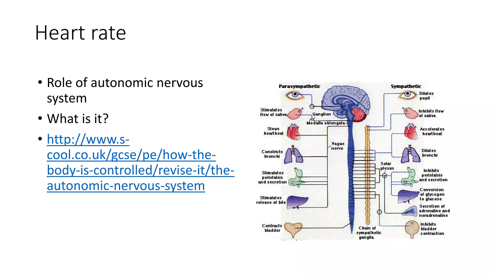 Heart rate
• Role of autonomic nervous
system
• What is it?
• http://www.s-
cool.co.uk/gcse/pe/how-the-
body-is-controlled/revise-it/the-
autonomic-nervous-system
 