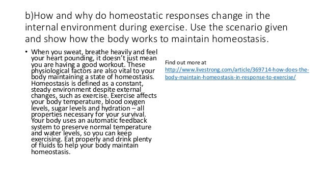 explain the probable homeostatic responses to changes in the internal environment during exercise A secondary school revision resource for edexcel gcse biology about homeostasis osmoregulation back to responses to a changing environment index activity. explain the probable homeostatic responses to changes in the internal environment during exercise A secondary school revision resource for edexcel gcse biology about homeostasis osmoregulation back to responses to a changing environment index activity.
