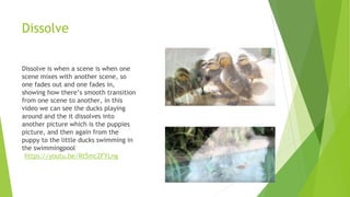 Dissolve
Dissolve is when a scene is when one
scene mixes with another scene, so
one fades out and one fades in,
showing how there’s smooth transition
from one scene to another, in this
video we can see the ducks playing
around and the it dissolves into
another picture which is the puppies
picture, and then again from the
puppy to the little ducks swimming in
the swimmingpool
https://youtu.be/Rt5mcZFYLng
 