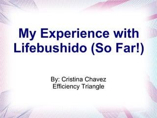 My Experience with
Lifebushido (So Far!)
By: Cristina Chavez
Efficiency Triangle
 