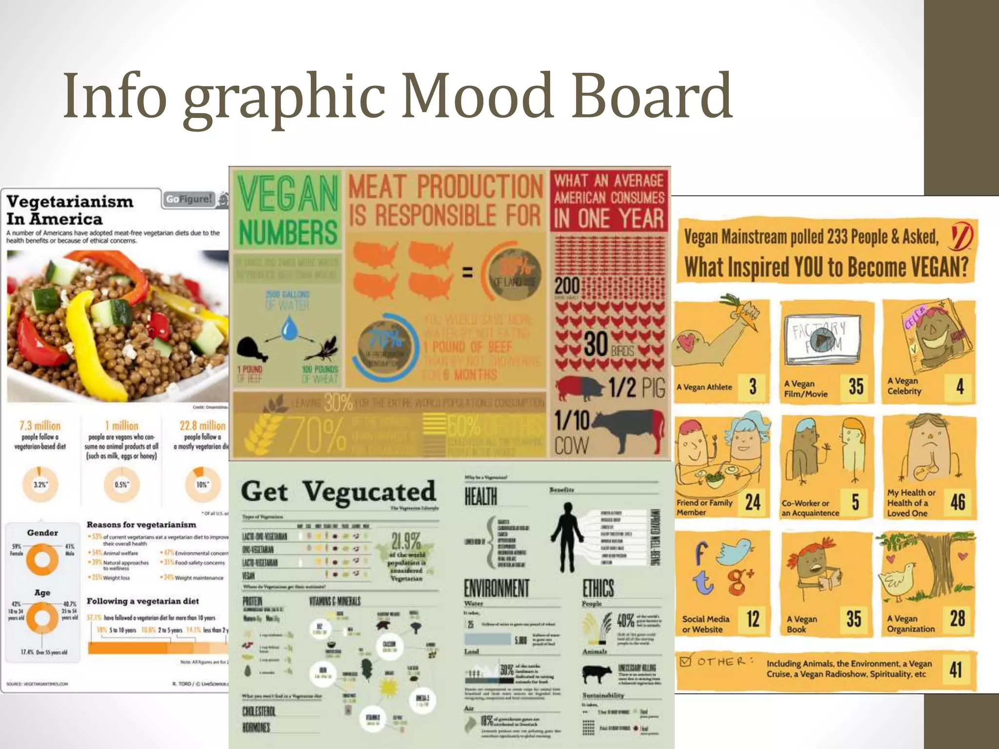 Info graphic Mood Board
 