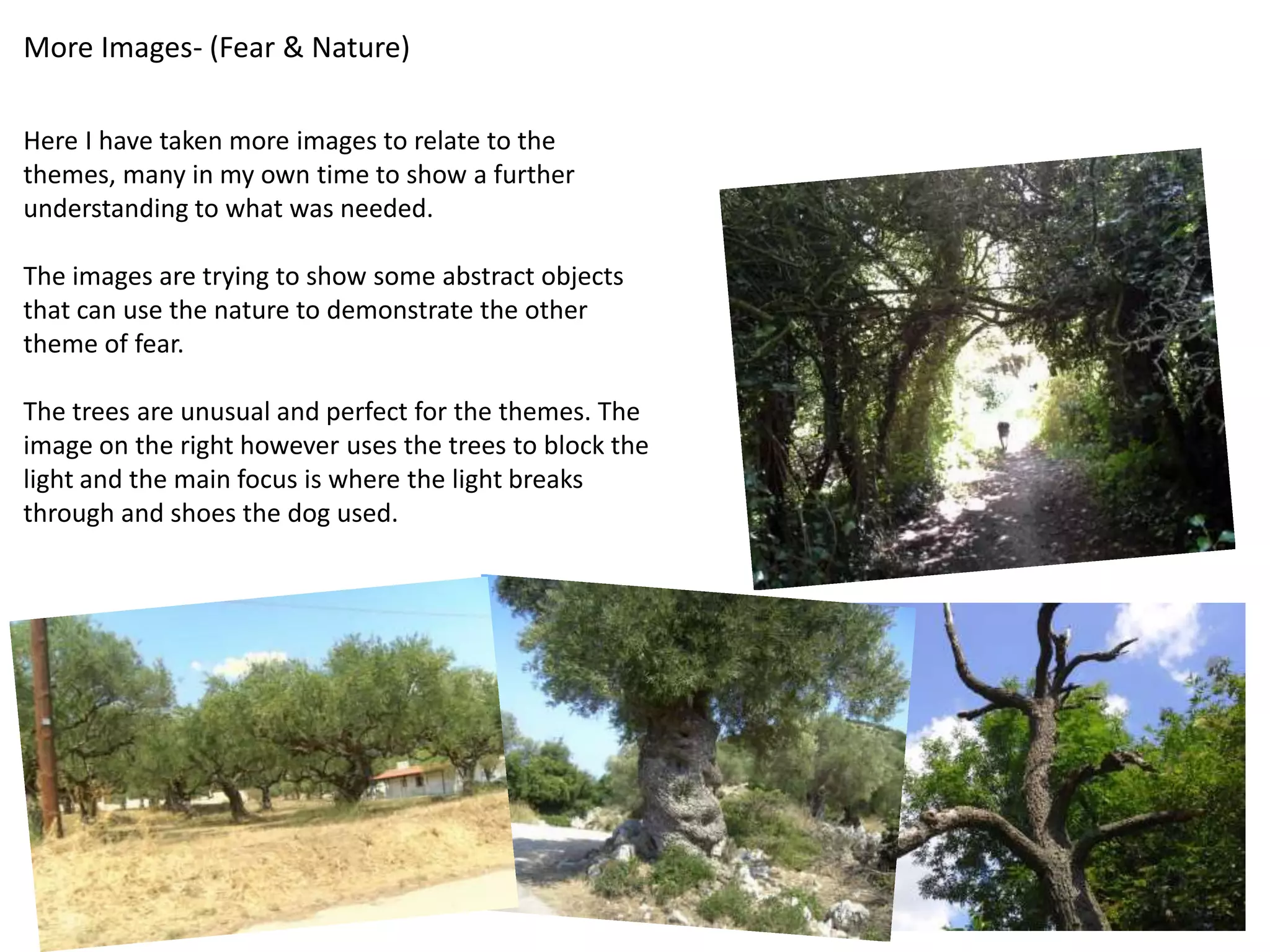 More Images- (Fear & Nature) 
Here I have taken more images to relate to the 
themes, many in my own time to show a further 
understanding to what was needed. 
The images are trying to show some abstract objects 
that can use the nature to demonstrate the other 
theme of fear. 
The trees are unusual and perfect for the themes. The 
image on the right however uses the trees to block the 
light and the main focus is where the light breaks 
through and shoes the dog used. 
 