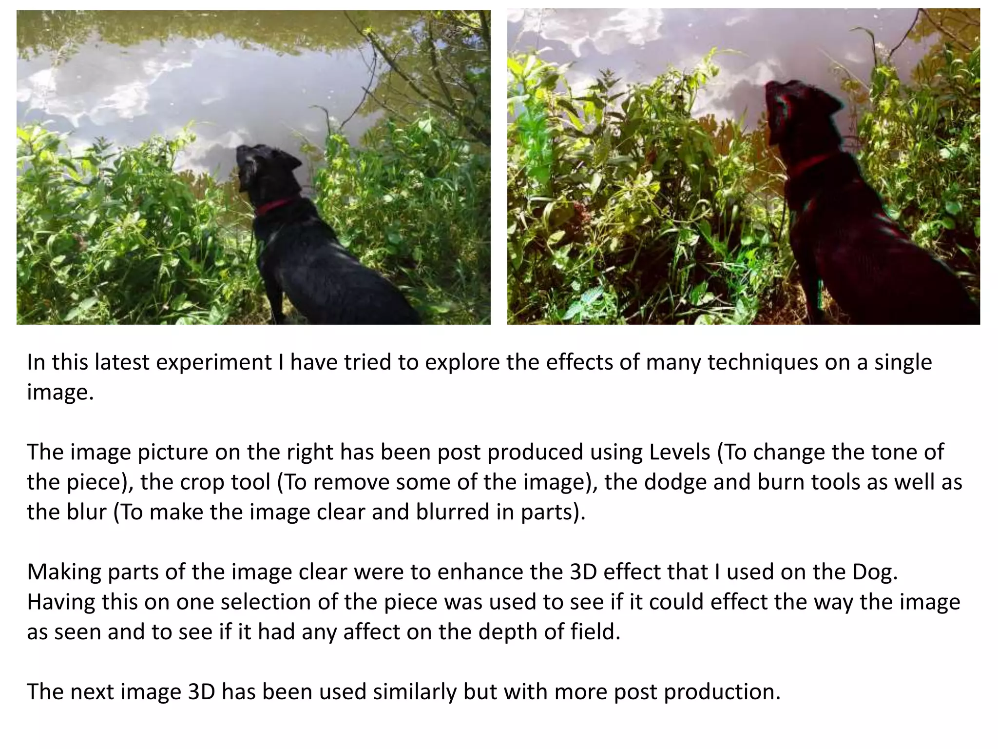 In this latest experiment I have tried to explore the effects of many techniques on a single 
image. 
The image picture on the right has been post produced using Levels (To change the tone of 
the piece), the crop tool (To remove some of the image), the dodge and burn tools as well as 
the blur (To make the image clear and blurred in parts). 
Making parts of the image clear were to enhance the 3D effect that I used on the Dog. 
Having this on one selection of the piece was used to see if it could effect the way the image 
as seen and to see if it had any affect on the depth of field. 
The next image 3D has been used similarly but with more post production. 
 