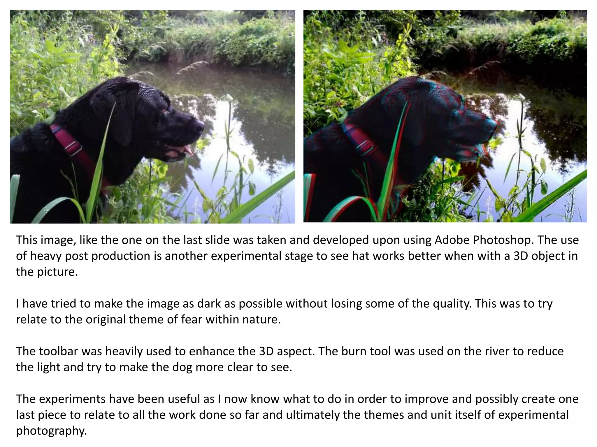 This image, like the one on the last slide was taken and developed upon using Adobe Photoshop. The use 
of heavy post production is another experimental stage to see hat works better when with a 3D object in 
the picture. 
I have tried to make the image as dark as possible without losing some of the quality. This was to try 
relate to the original theme of fear within nature. 
The toolbar was heavily used to enhance the 3D aspect. The burn tool was used on the river to reduce 
the light and try to make the dog more clear to see. 
The experiments have been useful as I now know what to do in order to improve and possibly create one 
last piece to relate to all the work done so far and ultimately the themes and unit itself of experimental 
photography. 
 