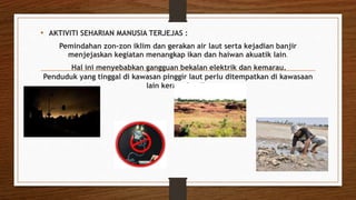 • AKTIVITI SEHARIAN MANUSIA TERJEJAS :
Pemindahan zon-zon iklim dan gerakan air laut serta kejadian banjir
menjejaskan kegiatan menangkap ikan dan haiwan akuatik lain.
Hal ini menyebabkan gangguan bekalan elektrik dan kemarau.
Penduduk yang tinggal di kawasan pinggir laut perlu ditempatkan di kawasaan
lain kerana banjir.
 