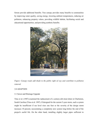 forests provide additional benefits. Tree canopy provides many benefits to communities
by improving water quality, saving energy, lowering ambient temperatures, reducing air
pollution, enhancing property values, providing wildlife habitat, facilitating social and
educational opportunities, and providing aesthetic benefits.
Figure: Canopy roads add shade to the public right of way and contribute to pollution
removal.
3.0 ADAPTION
3.1 Sewer and Drainage Upgrade
Titus et al. (1987) examined the replacement of a century-old street drain in Charleston,
South Carolina (Titus et al. 1987). If designed for the current 5-year storm, such a system
might be insufficient if sea level rises one foot or the severity of the design storm
increases 10 percent, necessitating a completely new system long before the end of the
project's useful life. On the other hand, installing slightly larger pipes sufficient to
 