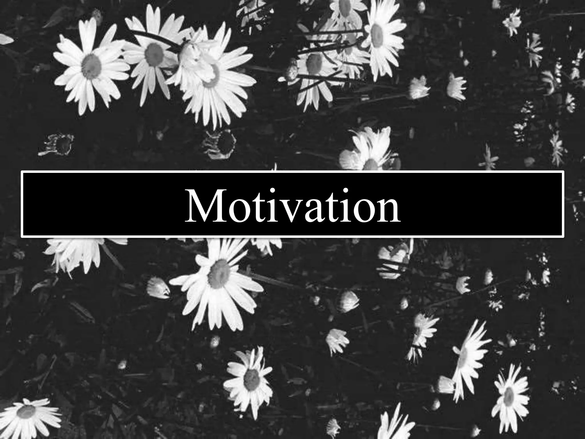Motivation 
 