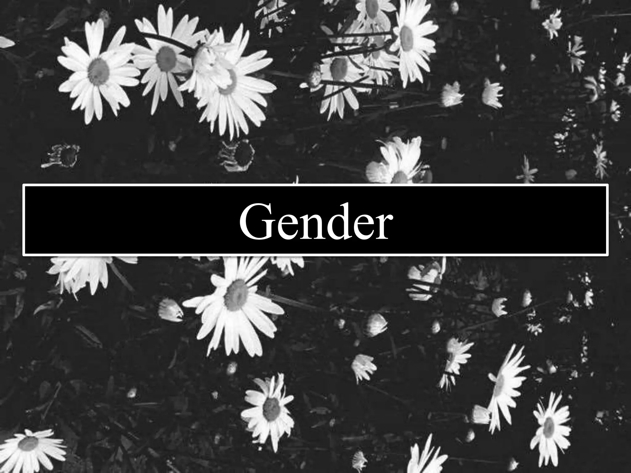 Gender 
 