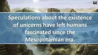 Speculations about the existence
of unicorns have left humans
fascinated since the
Mesopotamian era.
 