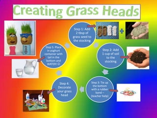 Step 1: Add
                        2 tbsp of
                      grass seed to
                      the stocking
 Step 5: Place
  in yoghurt                              Step 2: Add
container with                            1 cup of soil
   tail in the                               to the
 bottom and                                 stocking
  WATER! 




           Step 4:                Step 3: Tie up
                                    the bottom
          Decorate
                                  with a rubber
         your grass                   band –
            head                  (teacher help)
 
