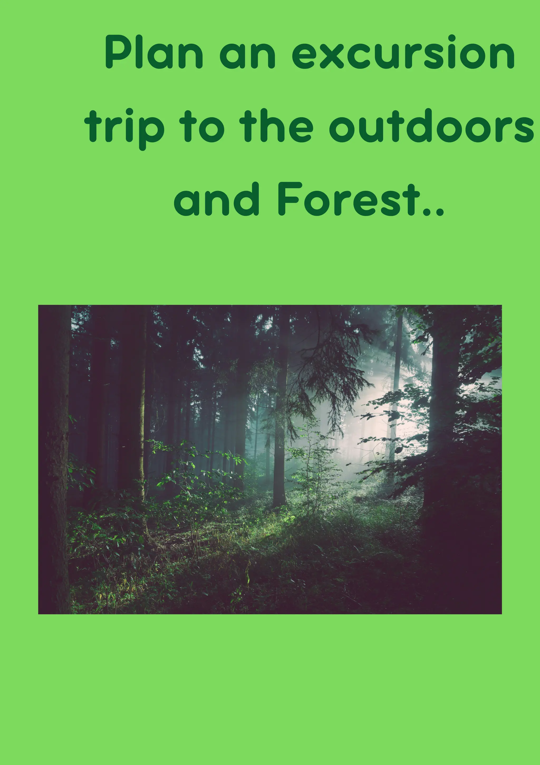Plan an excursion
trip to the outdoors
and Forest..
 