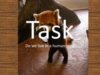 Task Do we live in a human zoo? 