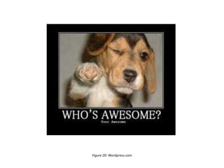 Figure 20: Wordpress.com
 