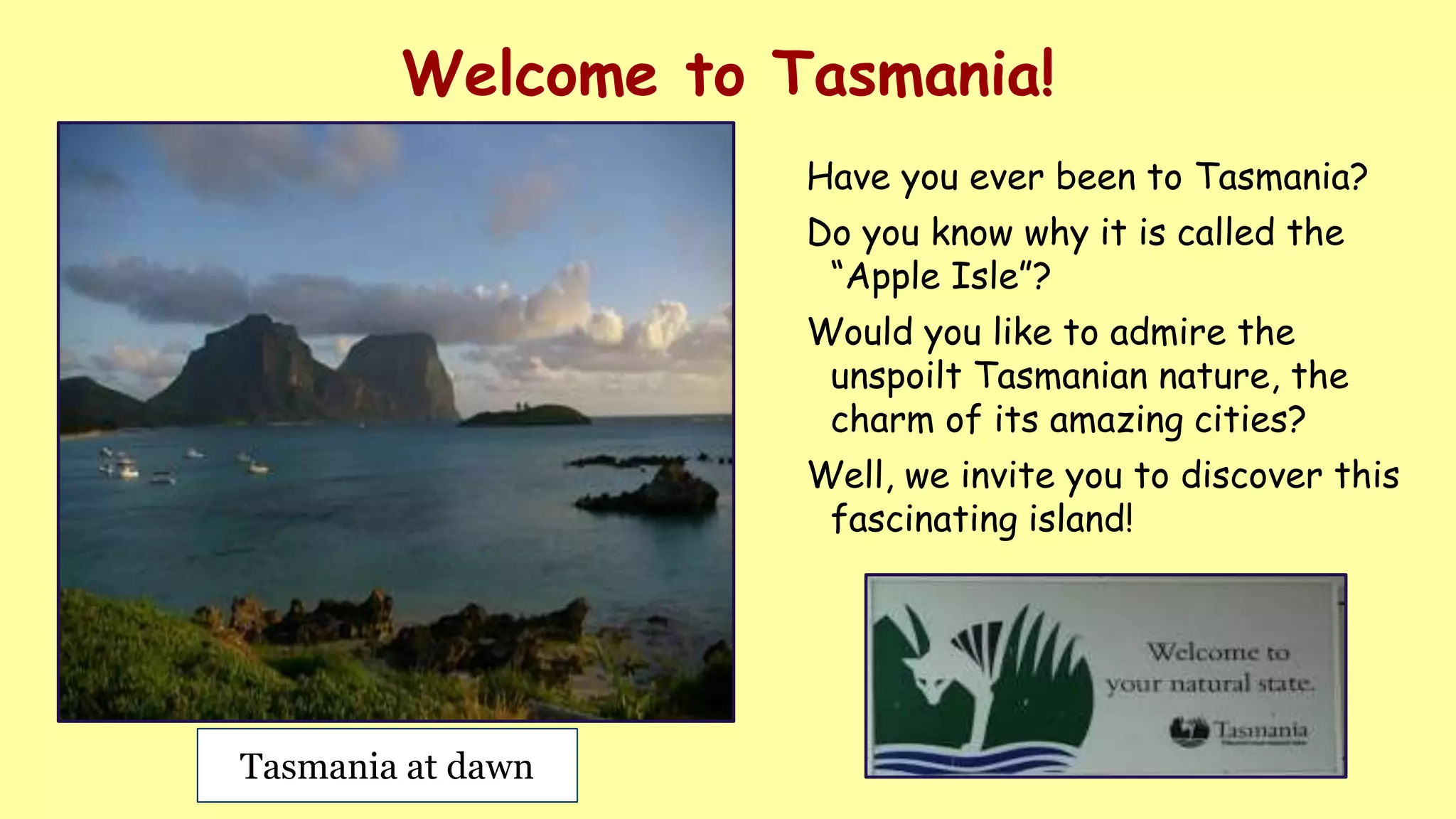 LORD DON ／don Tasmania essay LORD DON ／don Tasmania essay Snowdon: Tasmania Essay Text