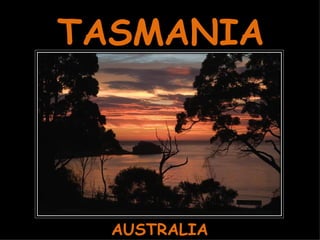 TASMANIA AUSTRALIA 
