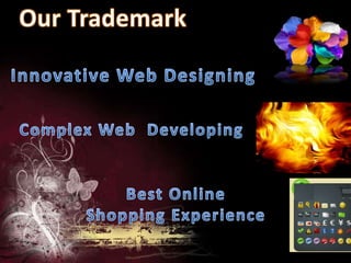 Small Business Web designing