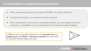 PRESENTACIÓ
El TAS neix de la necessitat d’identificar els conceptes clau, les
preguntes per a la reflexió i elements essencials que intervenen i
fan possible l’aprenentatge amb sentit.
● Marc conceptual que guia el projecte CESIRE i la nostra activitat
● Constructe dinàmic, en constant revisió i evolució
● Eina conceptual al servei de la comunitat docent, que promogui els canvis
profunds i sostenibles en les pràctiques d’ensenyament-aprenentatge
 