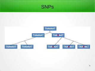 6
SNPs
 