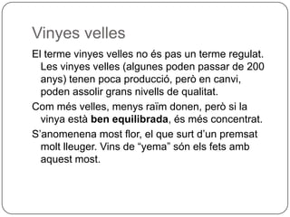 Vinyes vellesEl terme vinyes velles no és pas un terme regulat. Les vinyes velles (algunes poden passar de 200 anys) tenen poca producció, però en canvi, poden assolir grans nivells de qualitat.Com més velles, menys raïm donen, però si la vinya està ben equilibrada, és més concentrat.S’anomenena most flor, el que surt d’un premsat molt lleuger. Vins de “yema” són els fets amb aquest most.