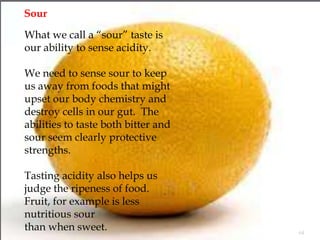 Sour

What we call a “sour” taste is
our ability to sense acidity.

We need to sense sour to keep
us away from foods that ...