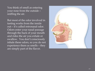 You think of smell as entering
your nose from the outside –
sniffing the air.

But most of the odor involved in
tasting wo...