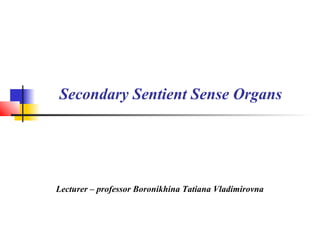 Secondary Sentient Sense Organs
Lecturer – professor Boronikhina Tatiana Vladimirovna
 