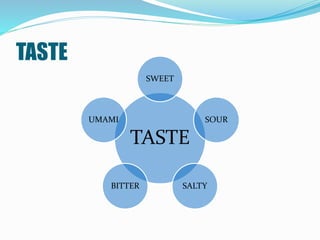 Taste In Food Taste sour and salty | PPTX