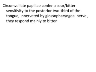 Circumvallate papillae confer a sour/bitter
sensitivity to the posterior two-third of the
tongue, innervated by glossopharyngeal nerve ,
they respond mainly to bitter.
 