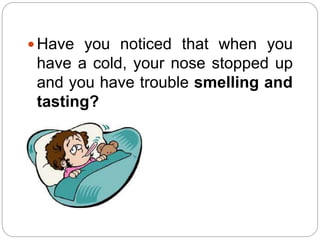  Have you noticed that when you
have a cold, your nose stopped up
and you have trouble smelling and
tasting?
 