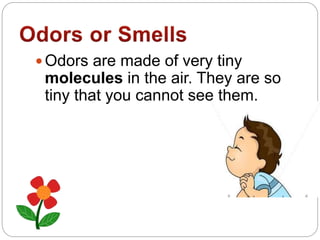  Odors are made of very tiny
molecules in the air. They are so
tiny that you cannot see them.
 