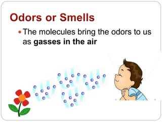  The molecules bring the odors to us
as gasses in the air
 