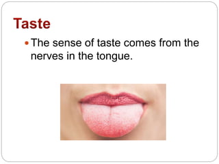  The sense of taste comes from the
nerves in the tongue.
 