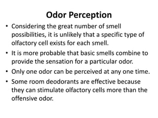 Odor Perception
• Considering the great number of smell
possibilities, it is unlikely that a specific type of
olfactory cell exists for each smell.
• It is more probable that basic smells combine to
provide the sensation for a particular odor.
• Only one odor can be perceived at any one time.
• Some room deodorants are effective because
they can stimulate olfactory cells more than the
offensive odor.
 