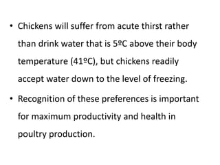 • Chickens will suffer from acute thirst rather
than drink water that is 5ºC above their body
temperature (41ºC), but chickens readily
accept water down to the level of freezing.
• Recognition of these preferences is important
for maximum productivity and health in
poultry production.
 
