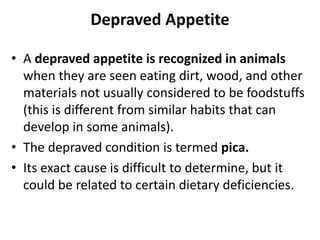 Depraved Appetite
• A depraved appetite is recognized in animals
when they are seen eating dirt, wood, and other
materials not usually considered to be foodstuffs
(this is different from similar habits that can
develop in some animals).
• The depraved condition is termed pica.
• Its exact cause is difficult to determine, but it
could be related to certain dietary deficiencies.
 