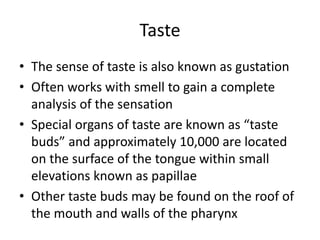 Taste
• The sense of taste is also known as gustation
• Often works with smell to gain a complete
analysis of the sensation
• Special organs of taste are known as “taste
buds” and approximately 10,000 are located
on the surface of the tongue within small
elevations known as papillae
• Other taste buds may be found on the roof of
the mouth and walls of the pharynx
 
