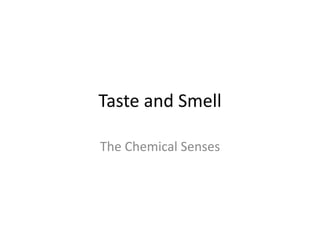 Taste and Smell
The Chemical Senses
 