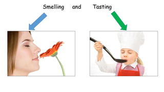 Smelling and Tasting
 