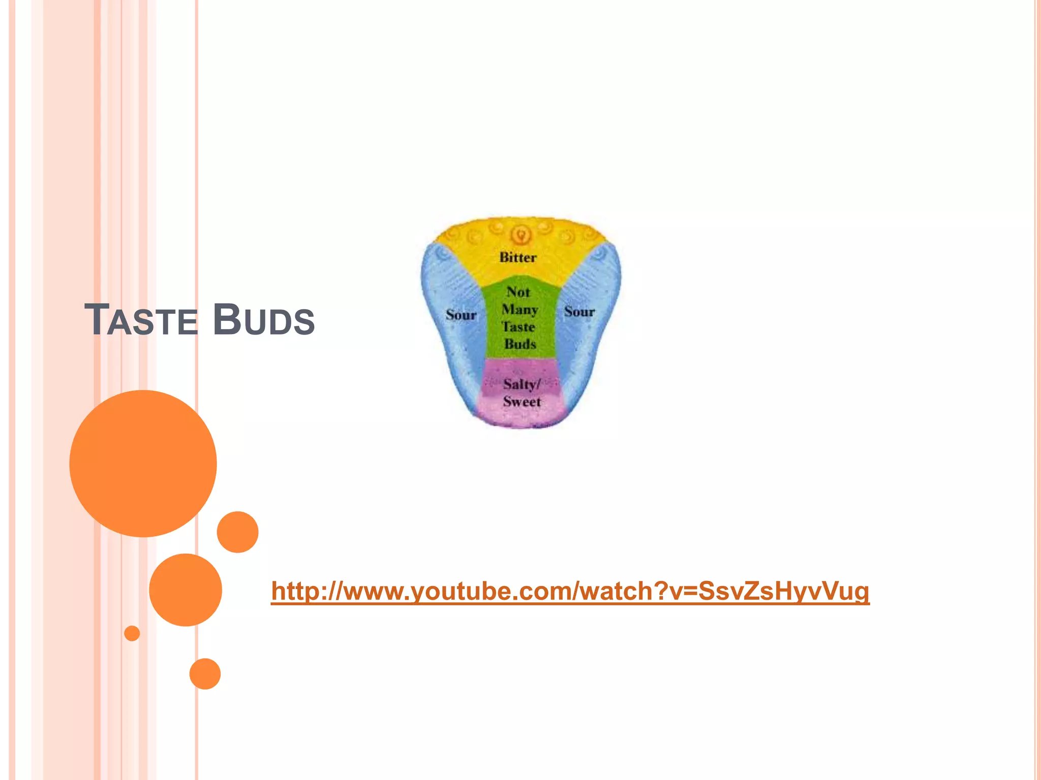Taste Budshttp://www.youtube.com/watch?v=SsvZsHyvVug