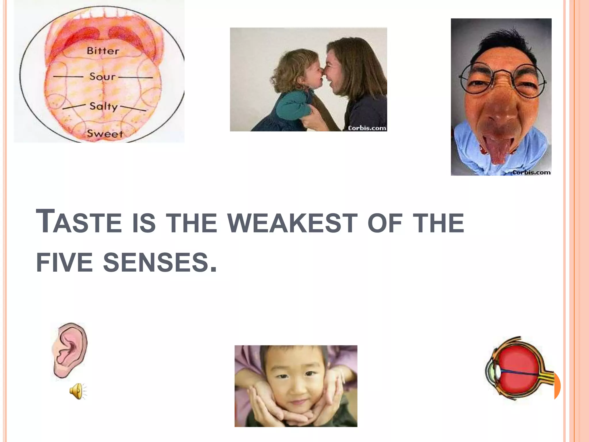 Taste is the weakest of the five senses.