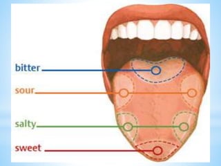 Chemical Sense of Taste | PPTX