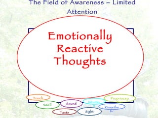 The Field of Awareness – Limited Attention Emotionally Reactive Thoughts Touch Smell Sound Kinesthetic Taste Intuition Sight Proprioceptive 