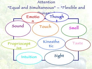 The Field of Awareness – Expanded Attention “Equal and Simultaneous” – “Flexible and Dynamic” m Emotion Thought Sound Touch Smell Proprioceptive Kinesthetic Taste Intuition Sight 