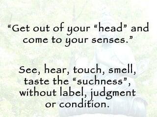 “ Get out of your “head” and come to your senses.” See, hear, touch, smell, taste the “suchness”, without label, judgment or condition. 